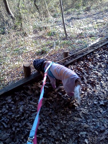 2015-01-07 14.48.09.jpg