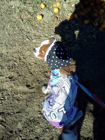 2015-01-12 14.23.25.jpg