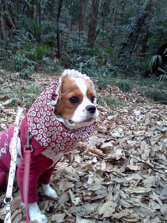2015-01-26 09.13.58.jpg