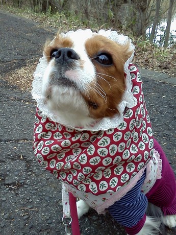 2015-01-27 14.33.55.jpg