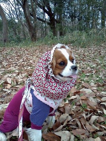 2015-01-27 14.44.41.jpg