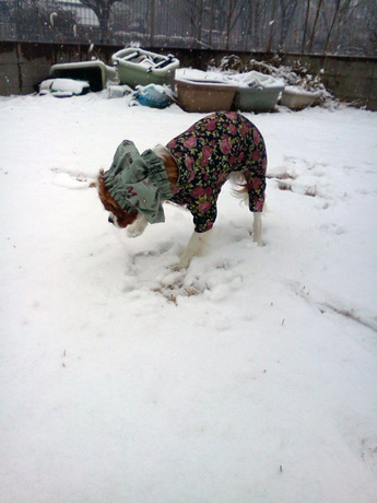 2015-01-30 09.47.50.jpg