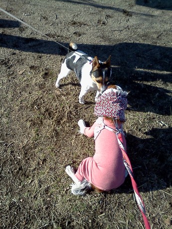 2015-02-09 15.17.48.jpg