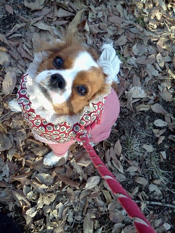 2015-02-09 15.31.07.jpg