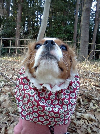 2015-02-11 15.12.36.jpg