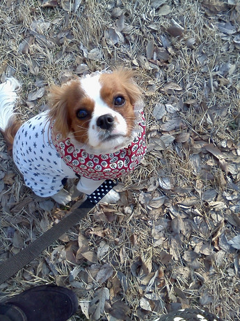 2015-02-12 15.05.51.jpg