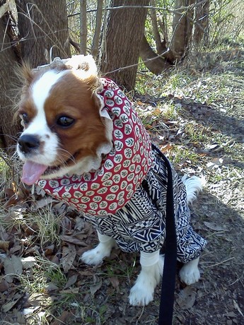 2015-02-19 14.33.26.jpg