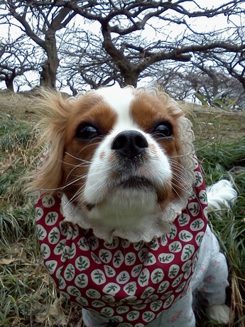 2015-02-24 13.52.05.jpg