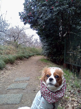 2015-02-24 13.54.13.jpg