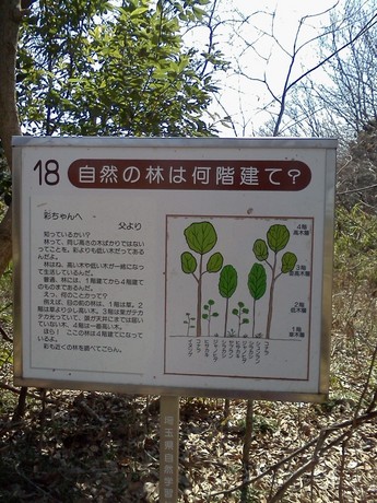 2015-03-13 12.55.44.jpg