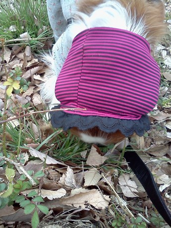 2015-03-16 13.43.16.jpg
