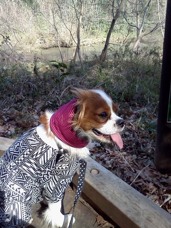2015-03-17 14.29.27.jpg