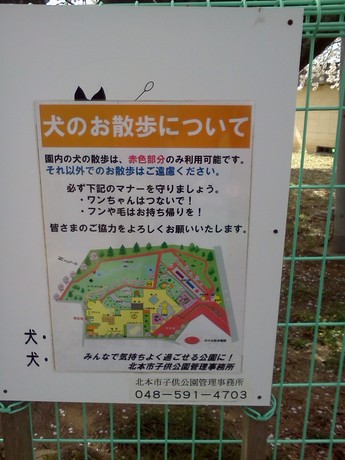 2015-04-02 10.30.34.jpg