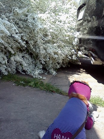 2015-04-02 11.13.19.jpg