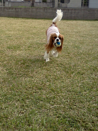 2015-04-12 15.20.23.jpg