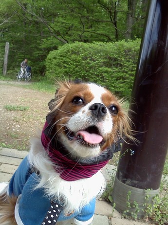2015-04-22 13.55.17.jpg