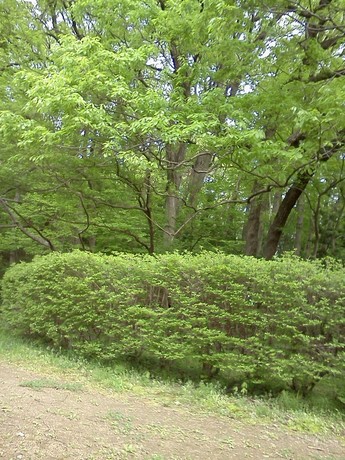 2015-04-22 13.55.31.jpg