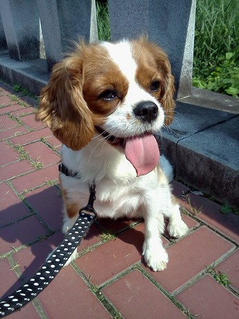 2015-06-15 08.40.59.jpg