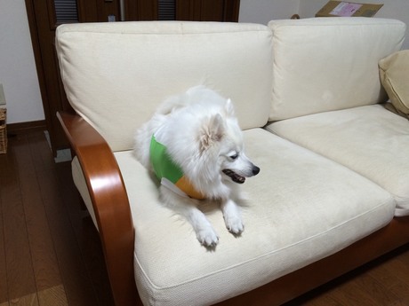 20150518220736.jpg