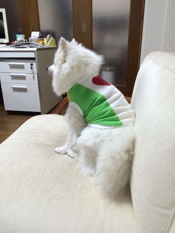 20150518220753.jpg
