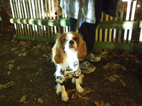 DSCF6310.jpg