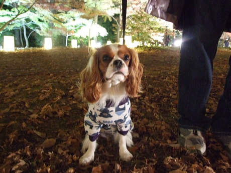 DSCF6317.jpg