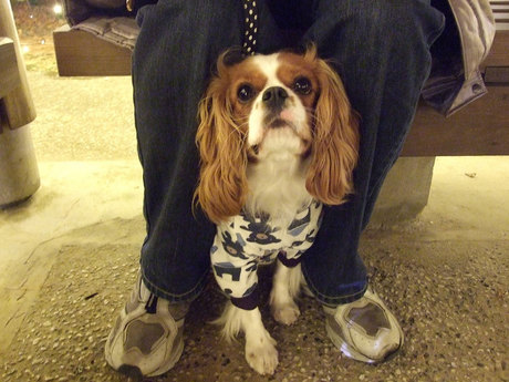 DSCF6322.jpg