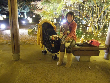 DSCF6330.jpg