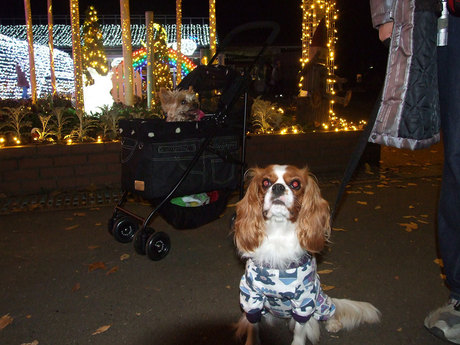 DSCF6346.jpg