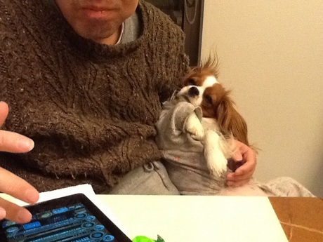 image.jpg