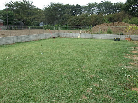 20090928.jpg
